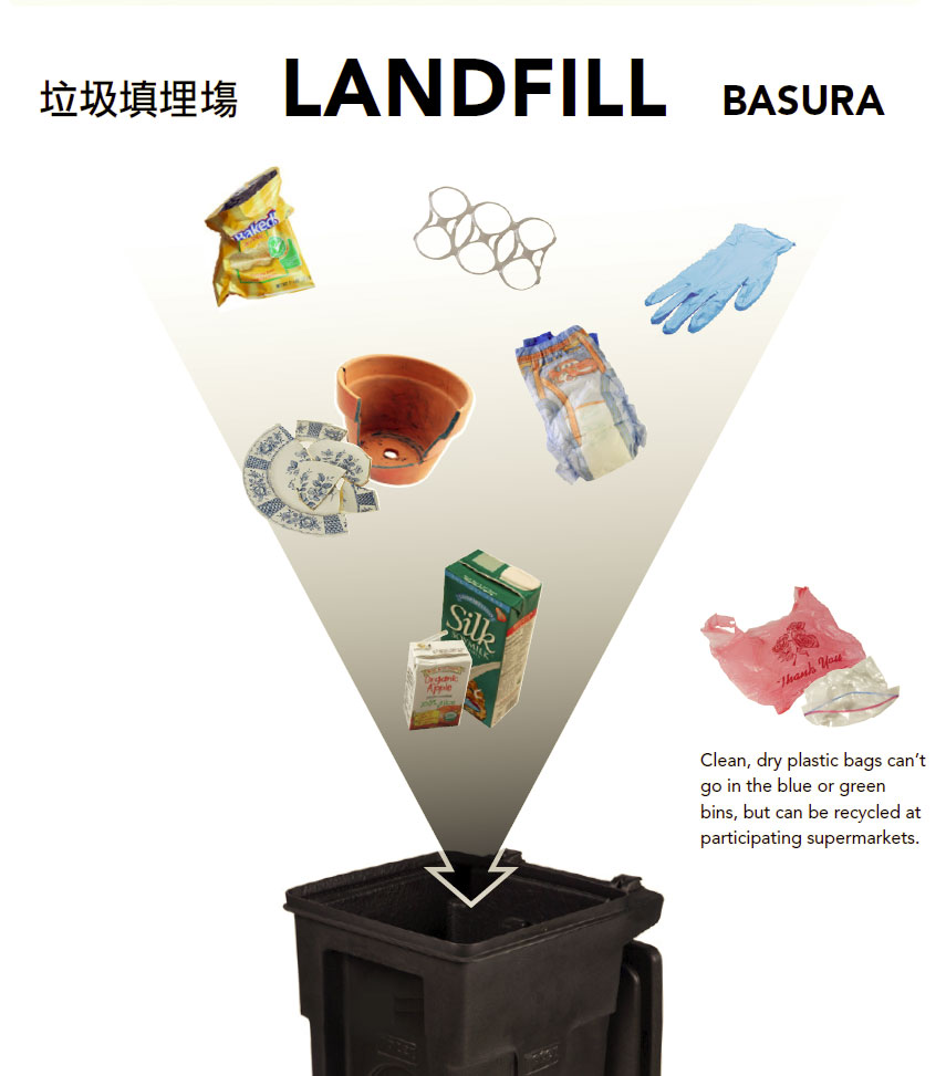 Landfill Black Bin