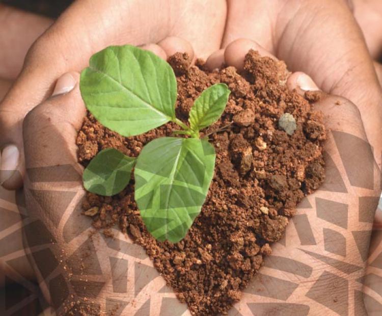 COI Enviro Justice Element